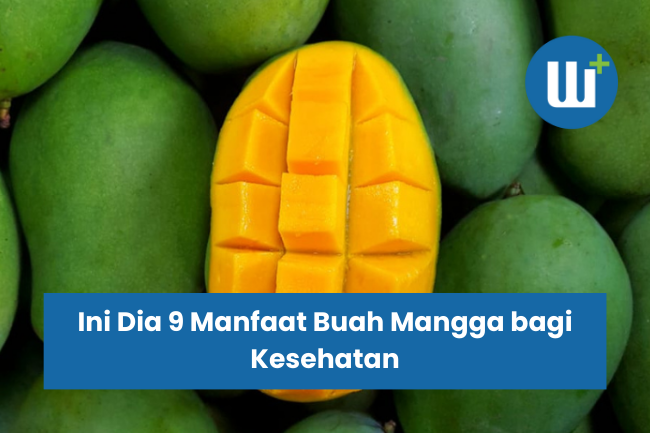 Ini Dia 9 Manfaat Buah Mangga bagi Kesehatan